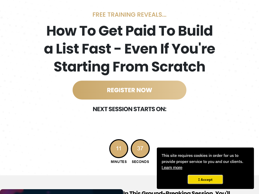 John Thornhills Ambassador Program Review