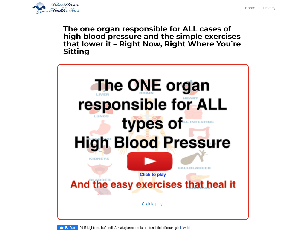 High Blood Pressure Review