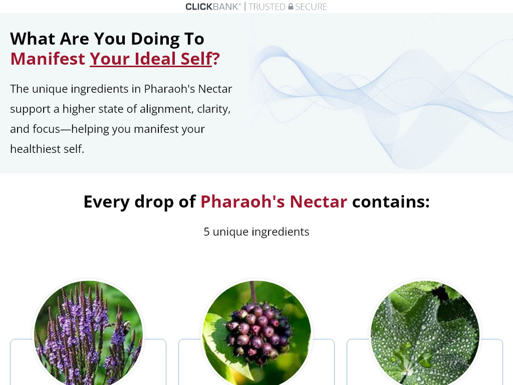 Pharaoh's Nectar Review